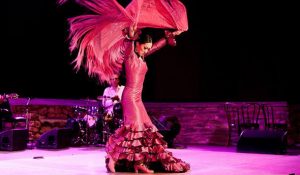 Flamenco Performance July 23rd, 2016 in Los Angeles